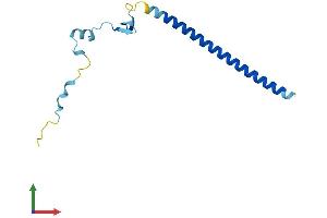 AlphaFold protein structure predicition of Mouse Recombinant Cby1 Protein, UniprotID Q9D1C2