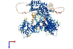 AlphaFold protein structure predicition of Mouse Recombinant Tert Protein, UniprotID O70372