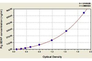 Typical Standard Curve (BDNF Kit ELISA)