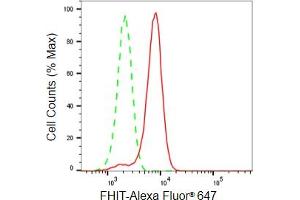 Flow cytometric analysis of FHIT expression in HeLa cells using FHIT antibody (ABIN7798657), 1:2,000). (Recombinant FHIT anticorps)