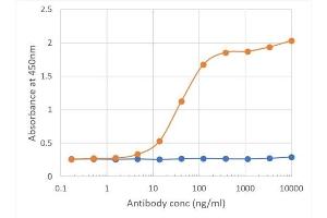 Binding curve of anti-B7-H3 antibody MJ18 (ABIN7072434) to mouse B7-H3-Fc fusion protein ELISA Plate coated with mouse B7-H3-Fc fusion protein (Pr00158-1.