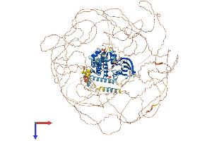 AlphaFold protein structure predicition of Human Recombinant LMTK2 Protein, UniprotID Q8IWU2