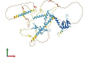 AlphaFold protein structure predicition of Human Recombinant NCAPH2 Protein, UniprotID Q6IBW4
