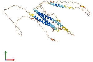AlphaFold protein structure predicition of Mouse Recombinant Syne4 Protein, UniprotID Q8CII8