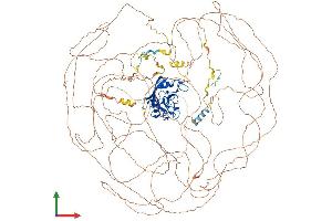 AlphaFold protein structure predicition of Human Recombinant NKTR Protein, UniprotID P30414