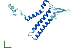 AlphaFold protein structure predicition of Human Recombinant OSTC Protein, UniprotID Q9NRP0