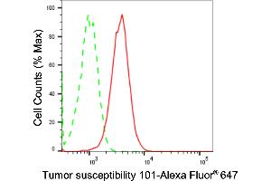 Flow cytometric analysis of Tumor susceptibility 101 expression in HT- cells using Tumor susceptibility 101 antibody (ABIN7800697), 1:2,000).