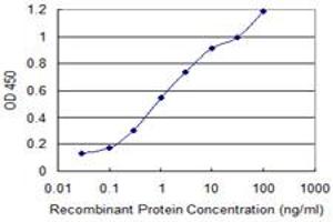 Detection limit for recombinant GST tagged DIDO1 is 0. (DIDO1 anticorps  (AA 321-420))
