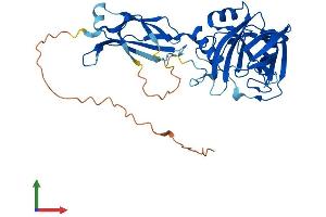 AlphaFold protein structure predicition of Mouse Recombinant Phyhipl Protein, UniprotID Q8BGT8