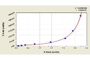 Angiogenin (ANG) ELISA Kit