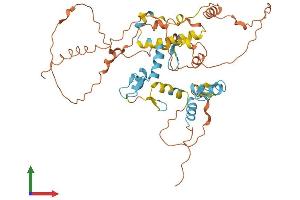 AlphaFold protein structure predicition of Human Recombinant ZNF641 Protein, UniprotID Q96N77