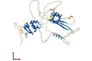 AlphaFold protein structure predicition of Human Recombinant KCTD16 Protein, UniprotID Q68DU8