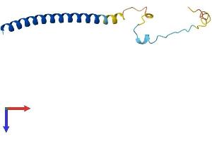 AlphaFold protein structure predicition of Human Recombinant SNAPC5 Protein, UniprotID O75971