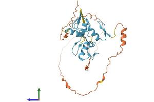 AlphaFold protein structure predicition of Mouse Recombinant Snai3 Protein, UniprotID Q9QY31