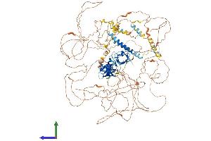 AlphaFold protein structure predicition of Human Recombinant SORBS1 Protein, UniprotID Q9BX66