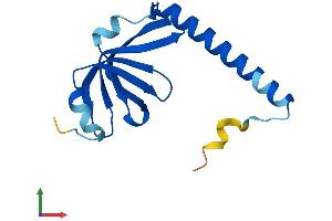 AlphaFold protein structure predicition of Mouse Recombinant Lsm1 Protein, UniprotID Q8VC85