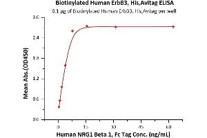 Immobilized Biotinylated Human ErbB3, His,Avitag (ABIN6933652,ABIN6938835) at 1 μg/mL (100 μL/well) on Streptavidin  precoated (0. (ERBB3 Protein (AA 20-643) (His tag,AVI tag,Biotin))