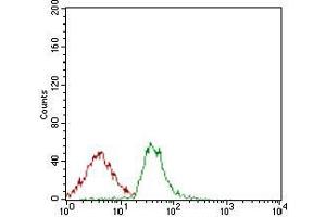 Flow cytometric analysis of Jurkat cells using ALCAM mouse mAb (green) and negative control (red).