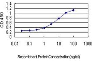 Detection limit for recombinant GST tagged RAD23A is approximately 0. (RAD23A anticorps  (AA 151-250))