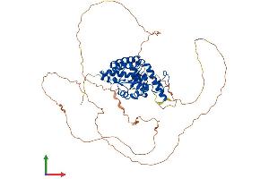 AlphaFold protein structure predicition of Human Recombinant EYA3 Protein, UniprotID Q99504