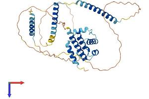 AlphaFold protein structure predicition of Human Recombinant CEP44 Protein, UniprotID Q9C0F1