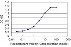 Detection limit for recombinant GST tagged GSC is approximately 0.