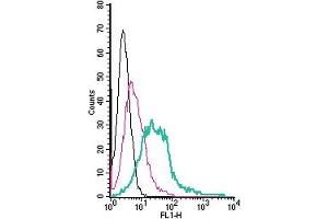 Cell surface detection of CXCR4 by direct flow cytometry in live intact human  megakaryoblastic leukemia cells: + Rabbit IgG Isotype Control-FITC (ABIN7582044).