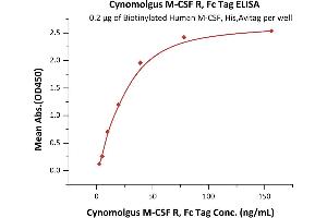 Immobilized Biotinylated Human M-CSF, His,Avitag (ABIN6386447,ABIN6388276) at 2 μg/mL (100 μL/well) on streptavidin precoated (0.