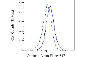Validation of Versican knockdown using flow cytometry.