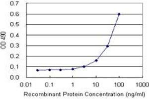 Sandwich ELISA detection sensitivity ranging from 3 ng/mL to 100 ng/mL. (AKT1 (Humain) Matched Antibody Pair)