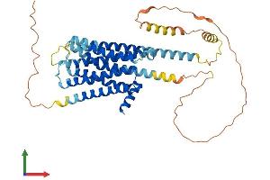 AlphaFold protein structure predicition of Human Recombinant DRD2 Protein, UniprotID P14416