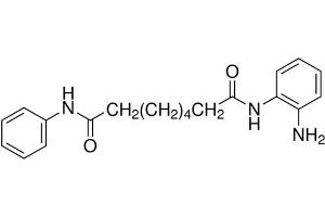 Chemical structure of BML-210 , a HDAC inhibitor.