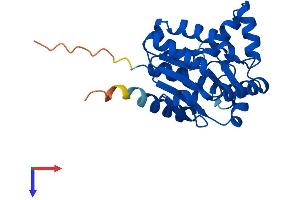 AlphaFold protein structure predicition of Mouse Recombinant Ak2 Protein, UniprotID Q9WTP6