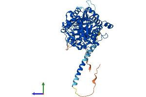 AlphaFold protein structure predicition of Mouse Recombinant Mtm1 Protein, UniprotID Q9Z2C5