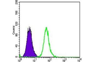 Flow cytometric analysis of MCF-7 cells using anti-DKK3 mAb (green) and negative control (purple).