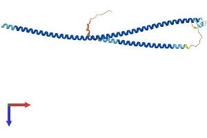AlphaFold protein structure predicition of Human Recombinant RABGAP1L Protein, UniprotID B7ZAP0