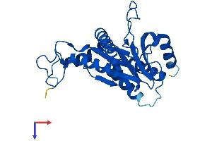 AlphaFold protein structure predicition of Mouse Recombinant Psma6 Protein, UniprotID Q9QUM9