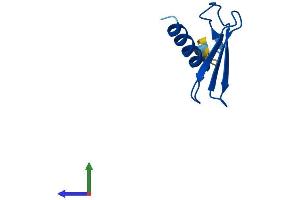 AlphaFold protein structure predicition of Mouse Recombinant Elof1 Protein, UniprotID P60003