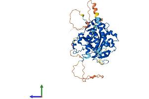 AlphaFold protein structure predicition of Human Recombinant HSPBAP1 Protein, UniprotID Q96EW2