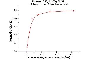 Immobilized Human R-Spondin 3 at 2 μg/mL (100 μL/well) can bind Human LGR5, His Tag (ABIN6973145) with a linear range of 5-39 ng/mL (QC tested).