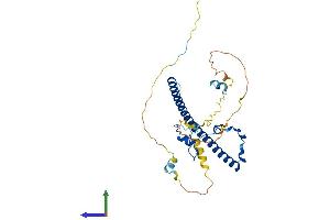 AlphaFold protein structure predicition of Human Recombinant TEF Protein, UniprotID Q10587