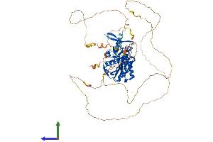 AlphaFold protein structure predicition of Mouse Recombinant Syn1 Protein, UniprotID O88935