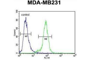 Flow cytometric analysis of MDA-MB231 cells using PDE12 Antibody (C-term) Cat. (PDE12 anticorps  (C-Term))