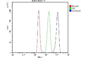 Flow Cytometry analysis of HL-60 cells using anti-RETREG1 antibody (ABIN7599962). (FAM134B anticorps  (AA 131-446))