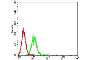Flow cytometric analysis of K562 cells using CD87 mouse mAb (green) and negative control (red).