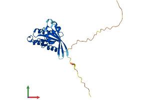 AlphaFold protein structure predicition of Human Recombinant RAB5C Protein, UniprotID P51148