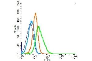 Human Raji cells probed with CD44 Polyclonal Antibody, Unconjugated  (green) at 1:100 for 30 minutes followed by a PE conjugated secondary antibody compared to unstained cells (blue), secondary only (light blue), and isotype control (orange).