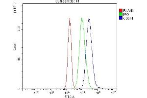 Flow Cytometry analysis of JK cells using anti-PD-L1 antibody (ABIN3043392).
