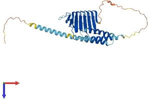 AlphaFold protein structure predicition of Mouse Recombinant Tbcc Protein, UniprotID Q8VCN9