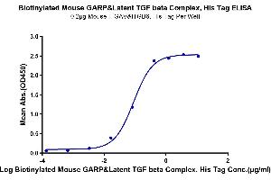 Immobilized Mouse ITGAV&ITGB6, His Tag at 2 μg/mL (100 μL/well) on the plate.